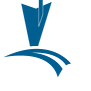Premium Painting logo