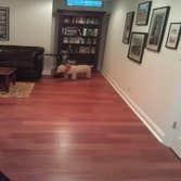 Photo(s) from Costa Painting And Flooring