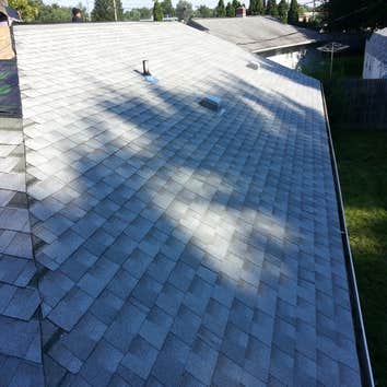 New Shingles