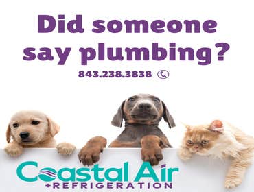 Photos by Coastal Air Plus #1