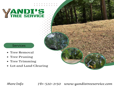 Photos by Yandi's Tree Service #16
