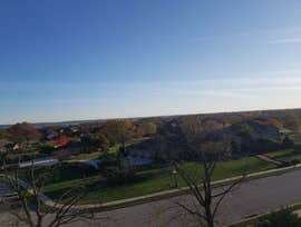 Photos by Amigos Lawn Care & Tree Services #5