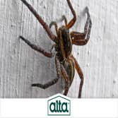 Alta Pest Control