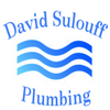 David Sulouff logo