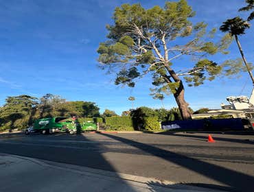 Photos by California Green Tree Care #1