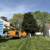 United Tree Services