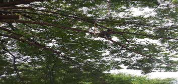 Photos by K&r Tree Service LLC #1