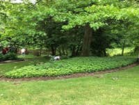Photos by Pioneer Lawn & Landscaping Services, LLC #1