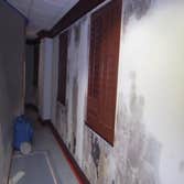 Big Easy Restoration Tampa