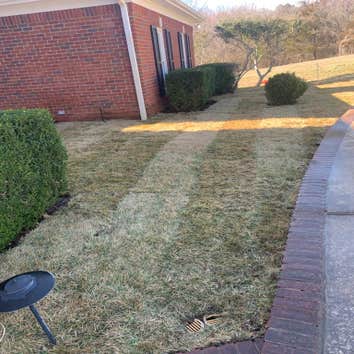 Photos by Super Lawn Service #1