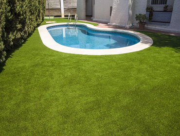 Photos by Tampa Turf Solutions #1