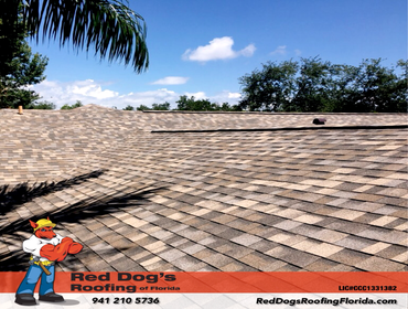 Photos by Red dog's Roofing of Florida #1