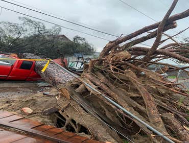 Storm damage