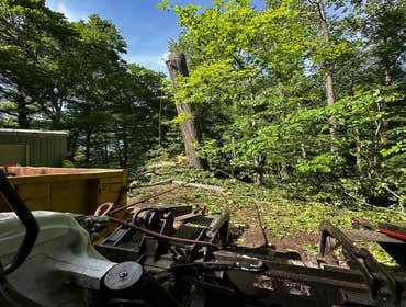 Flores Tree Services General & Landscaping