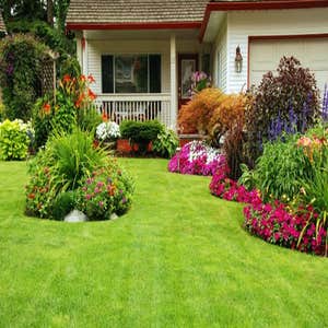 Photos from CCK Landscaping