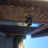 shingles after wash