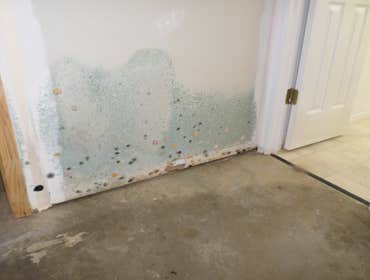 mold growth from a flood