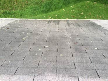 Photos from Mr Green Clean LLC Pressure Washing Roof