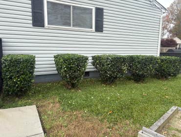 Photos by Beauty Meister Landscaping LLC #2