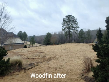 Photos by Upstate Demolition Services, LLC #1