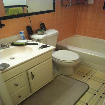 Bath Remodel (Before)