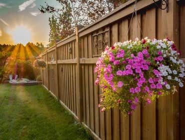 Fences