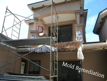 Mold Removal & Treatment