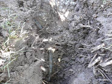 Photos by Summer Sprinklers & Repair #1