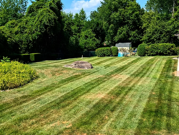 Photos by Dvel Landscaping LLC #1