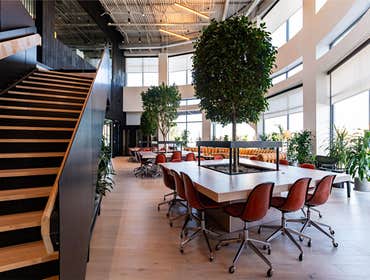 Photos by Concept Commercial Construction #1