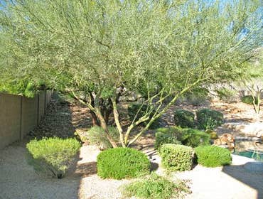 Photos from Element Design & Landscape LLC