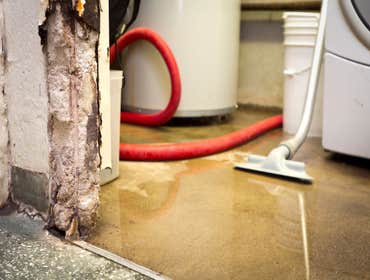 Photos by Nickel City Water Damage Experts #1
