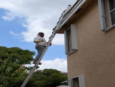Photos by All County Painters #1