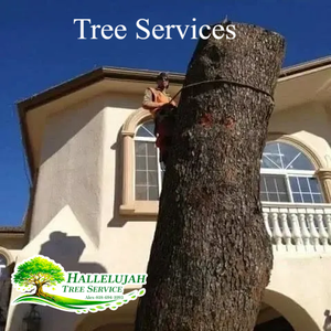 Photos by Hallelujah Tree Service #1