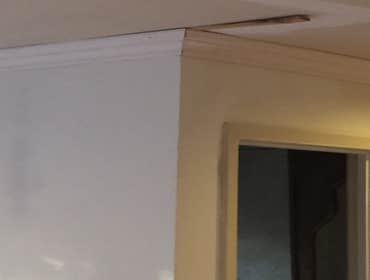 Photo(s) from Encore contracting Jobs