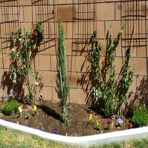 Photo(s) from Moore and Romero's landscaping and handyman services LLC Before and after pictures
