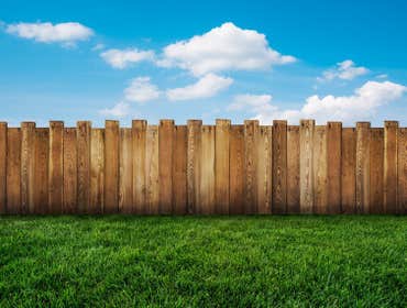 Fences