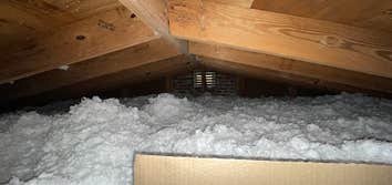 Photos by Coastline Insulation #1