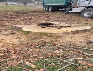 Photos by Carias Landscaping and Maintenance, LLC #4