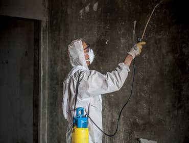 Photos by Voda Cleaning & Restoration of North San Antonio #1