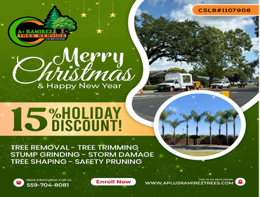 Photos by A+ Ramirez Tree Service #3