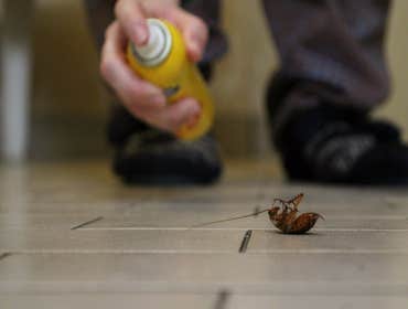 Photos by Little London Foundation Repair Experts #1