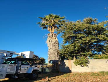 Photos by Navarro Tree Service Inc #8