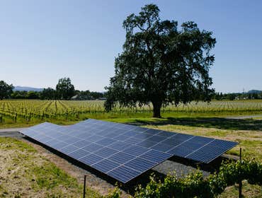 Ground Mount Solar Options