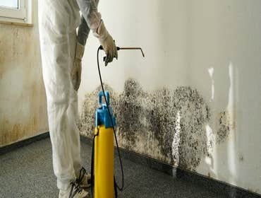 Water Damage