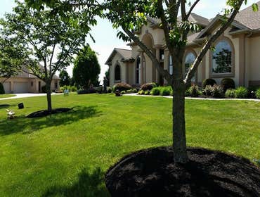 Photos by Amigos Lawn Care & Tree Service #1