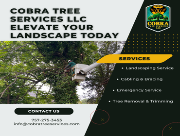 Photos by Cobra Tree Services LLC #3