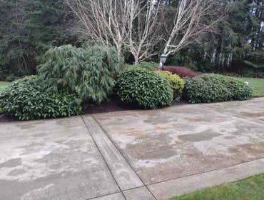 Photos by Sanchez Landscaping LLC #7