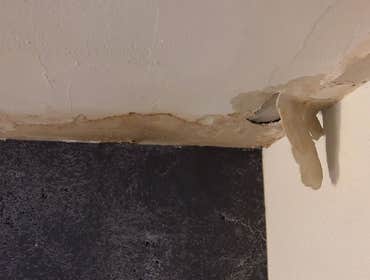 Photos by Nettleton Water Damage Experts #1