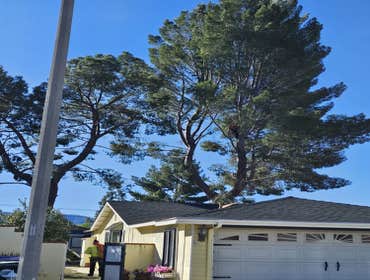 Photos by Master of Tree Care Services Inc #1